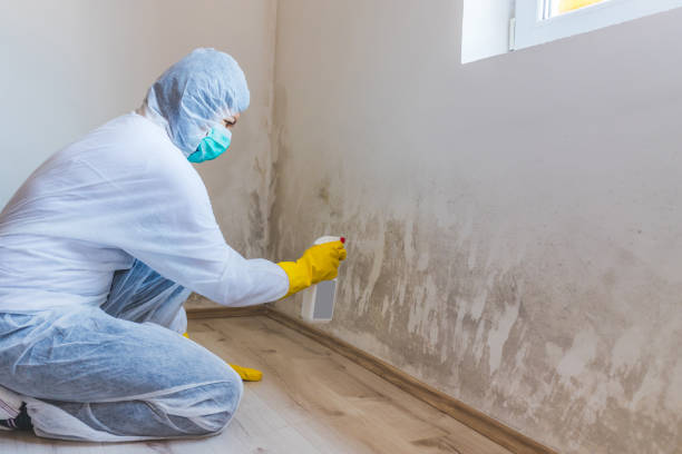 Hvac And Air Duct Mold Remediation inspection of HVAC system in Boonton